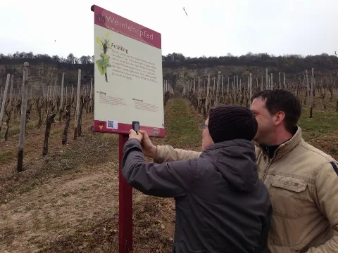 Frühling Nittel Weinlehrpfad