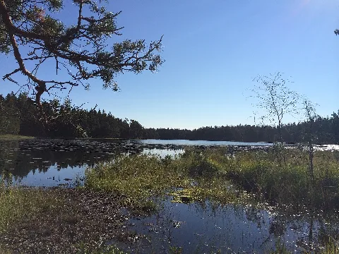 Gårdsjön