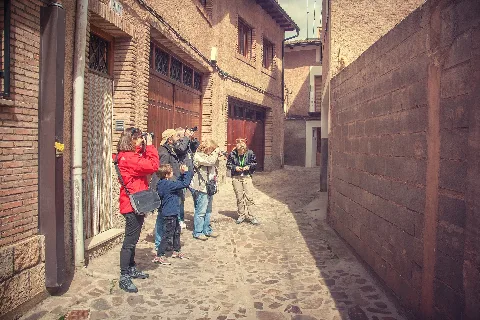 Gato Fotogénico (8592890563)