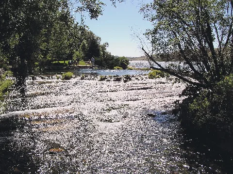Giant Springs07