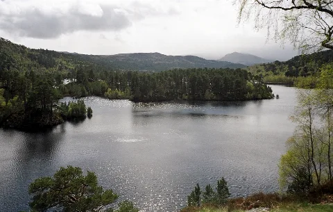 Glenaffric