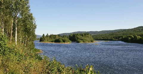 Glomma Stor Elvdal