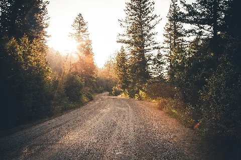 Golden Sun Over A Dirt Road (Unsplash)
