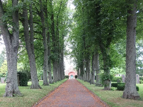 Gråbrødre Kirkegård 01