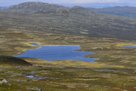 Gråstötstjärnen August 2018 01