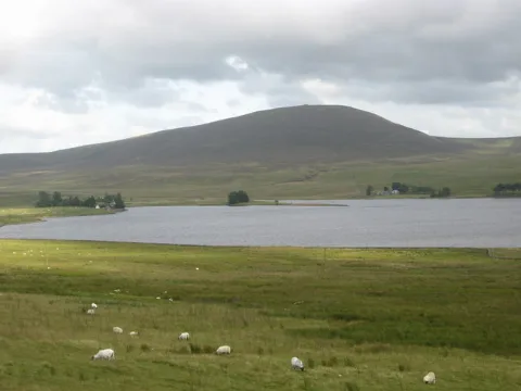 Grazing Land Overlooking Harperrig Reservoir Geograph.org.uk 1416660