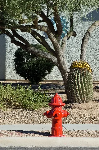 Green Valley Fireplug