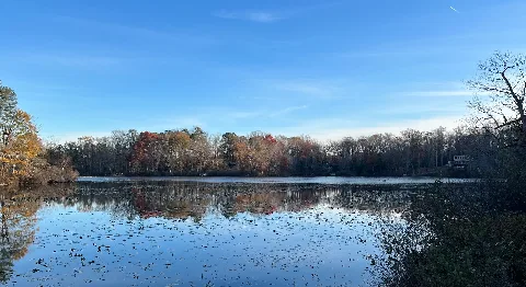 Gregorys Pond