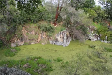 Griffithquarry