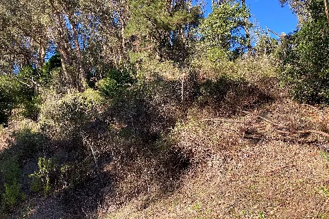 Gudde Ridge In Sibley Volcanic Regional Preserve, Oakland, California, Us