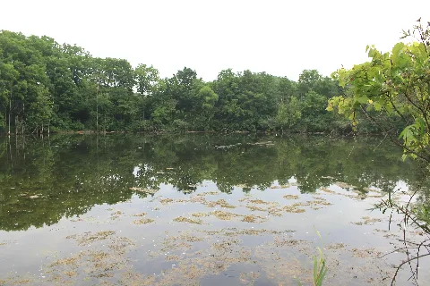 Gump Lake Milan Michigan