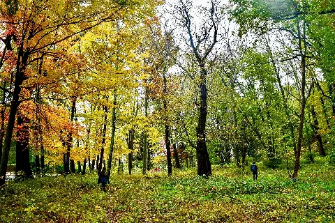 Hadwenarboretum