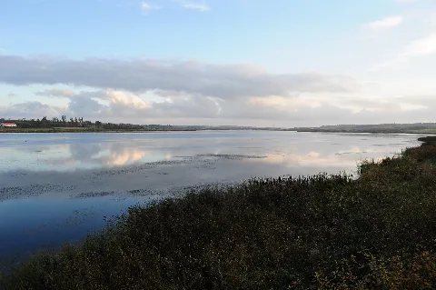 Halkær Sø