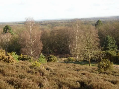 Hambledon Heath Geograph.org.uk 171755