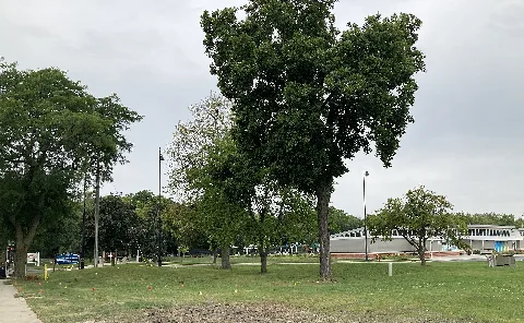 Harrer Park And Pool, Morton Grove, Il