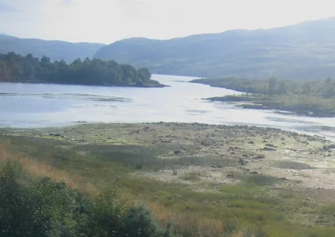Head Of Loch Luichart Looking East Geograph.org.uk 56664