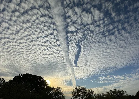 Heaven's Path