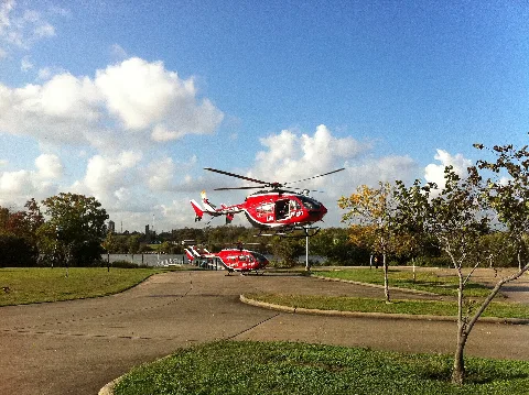 Hermannlifeflight