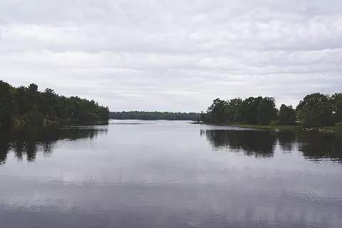Hjorten02