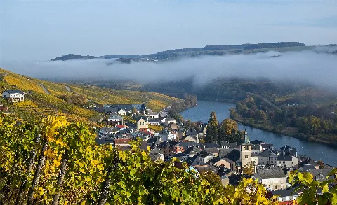 Hochnebel Über Der Mosel Bei Wormeldingen