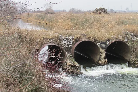 Hodges Ditch 20 01 03 055