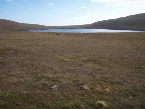 Hoglinns Water Geograph.org.uk 1500219