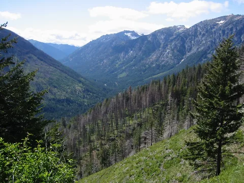 Icicle Creek 5773
