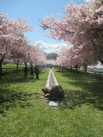 Ikeda Hall Peace Park 15 Year Anniversary Celebration 02
