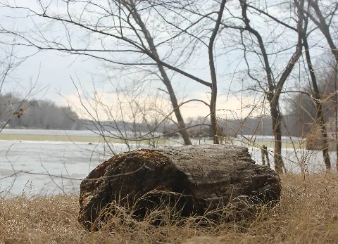 James River Bank And Bosher's Dam