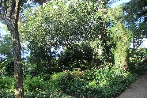 Jardín San Michele Anacapri 41