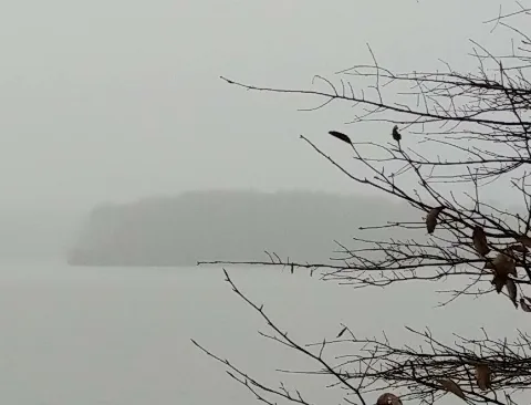 Jetts Island From Cropped Photo