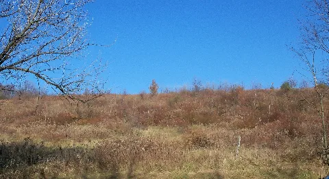 Johnson Site Ii