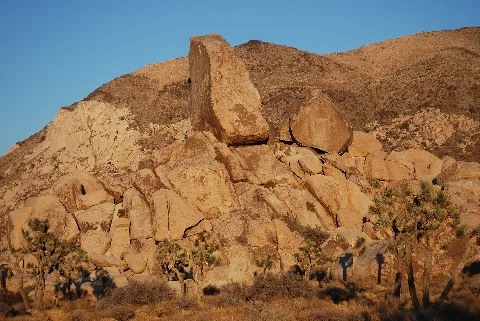 Joshua Tree Np Cutting Edge 3