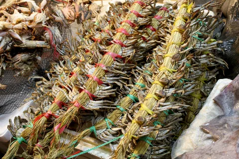 Korea Daejeon Live Crab Bundles At A Market 01