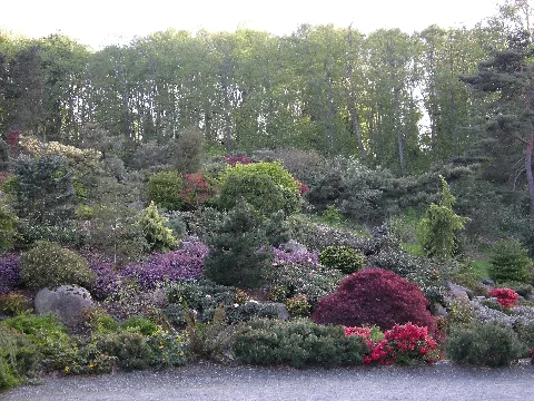 Kubota Garden 28