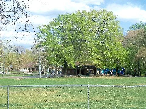 Lacey Woods Park Panoramio