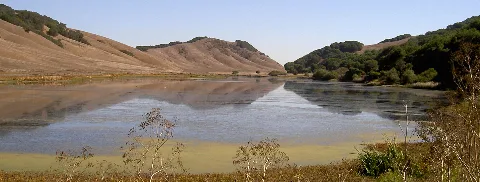 Lagunalake3169