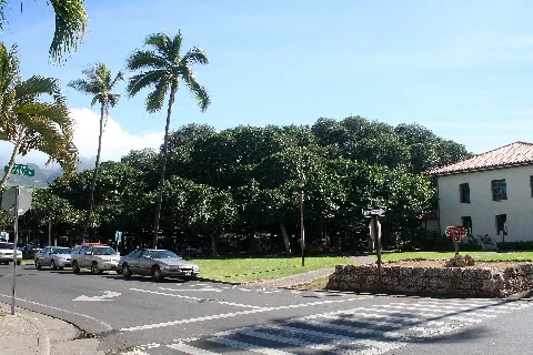 Lahaina Courthouse Square
