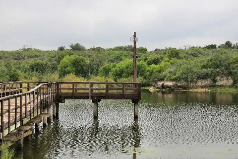 Lake Corpus Christi Sp Pier