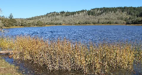 Lake Ilsanjo 10089