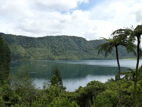 Lake Tikitapu, New Zealand (2)