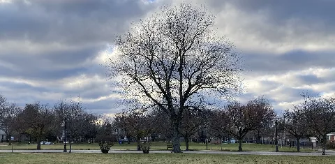 Leider Park, Evanston, Illinois