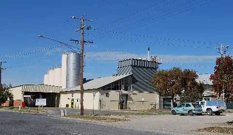 Leitchvillemurraygoulburnplant