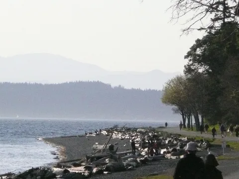 Lincoln Park Seattle 01