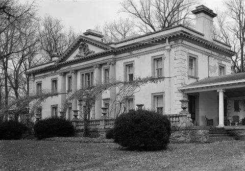Liriodendron Bel Air Md Habs1