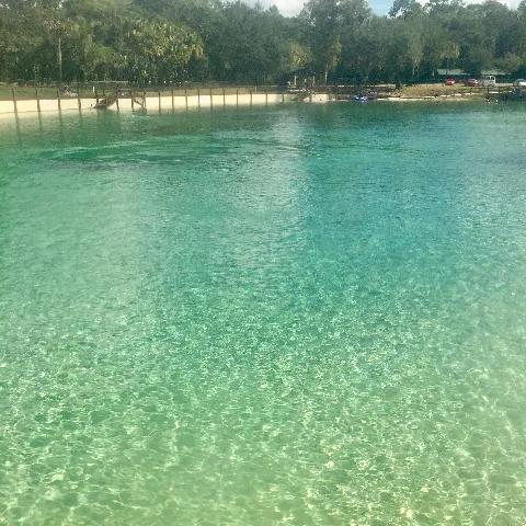 Lithia Spring
