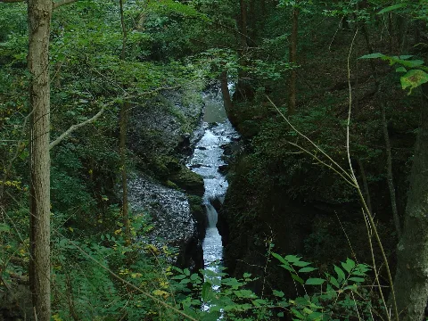 Little Miami River Through Clifton Gorge
