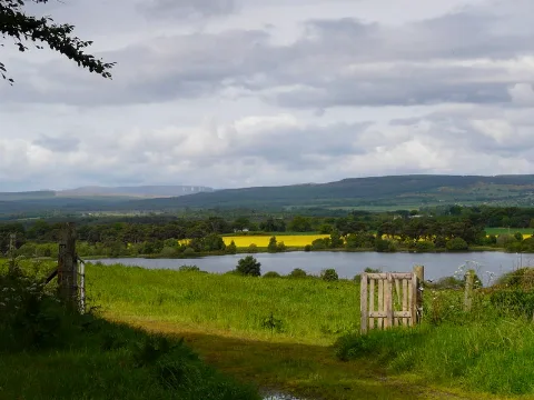 Loch Eye From Mounteagle (Geograph 2429658)
