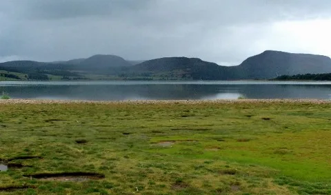 Loch Fleet From The East Bank