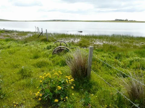 Loch Of Tankerness Geograph.org.uk 855106